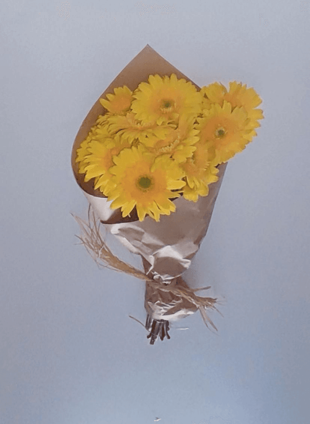 Gerbera Amarela