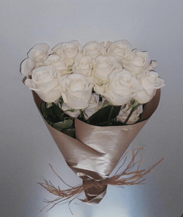 Rosas  Branco Pérola